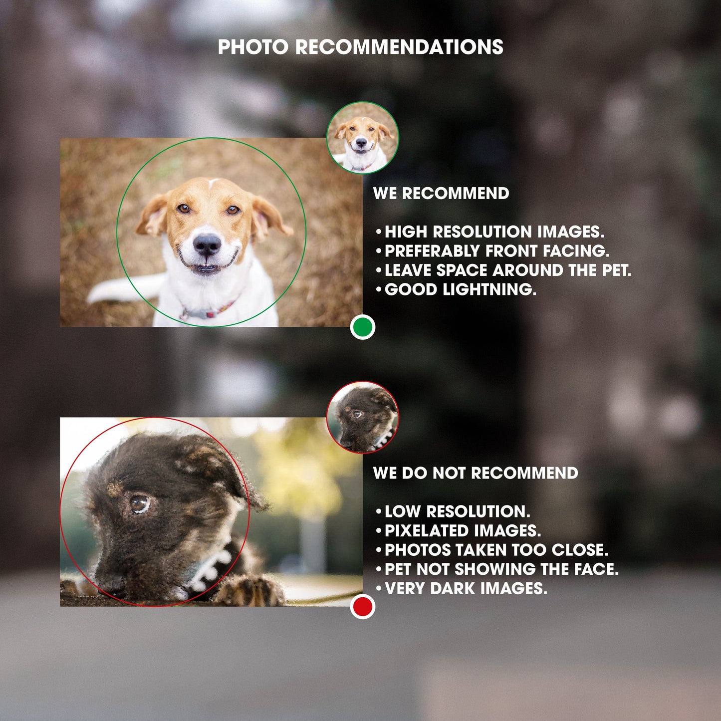 Save Our Pets Sticker - Custom Photo