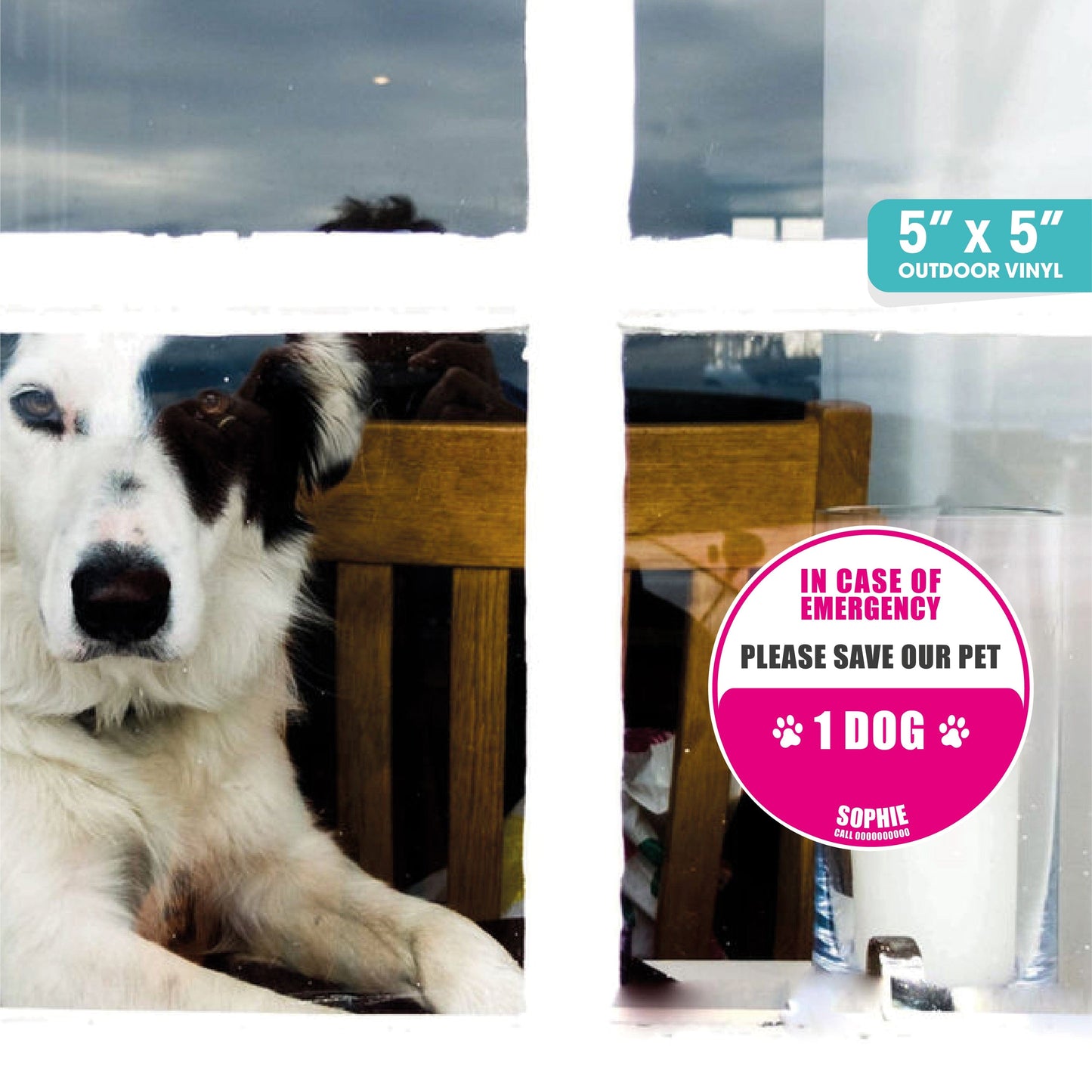 Save Our Pets - Customizable