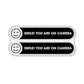 Smile You Are on Camera Stickers